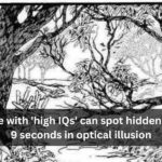 Only people with 'high IQs' can spot hidden face within 9 seconds in optical illusion