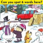Brain Teaser IQ Test: Only 1% Creatives Can Find The 6 words hidden in the snowy image in 12 Secs