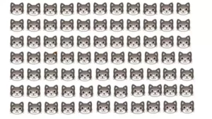 Optical Illusion: How fast can you Spot the Odd Cat in this Visual Puzzle?