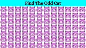 Optical Illusion: How fast can you Spot the Odd Cat in this Visual Puzzle?