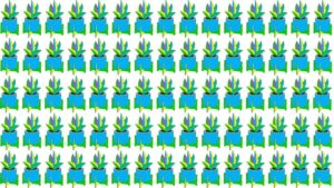 Optical Illusion Puzzle Challenge: Test your eyes and spot the Word Plant in 10 Secs
