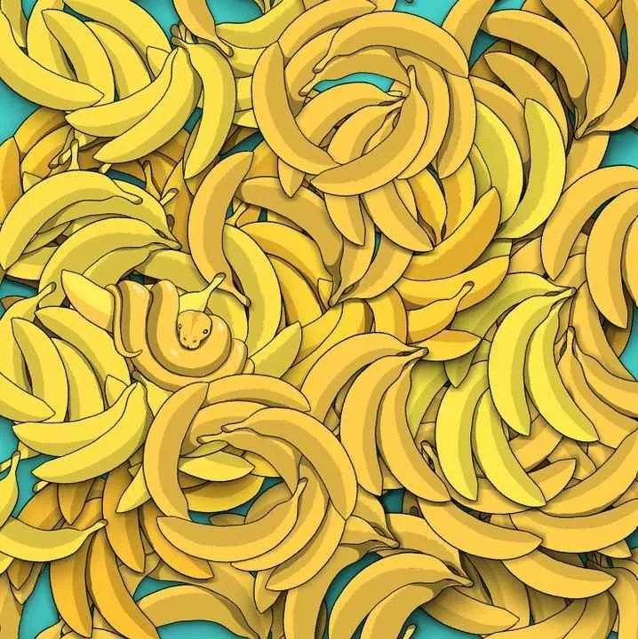 Optical illusion: Can you find the snake in the bananas in 5 seconds?