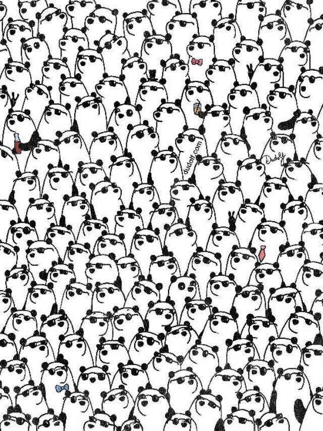 Optical illusion: Without spectacles, where are the three pandas?